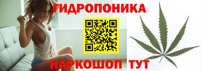 гашик Нягань