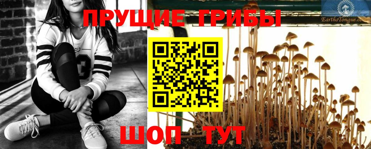 Тимашёвск  Псилоцибиновые грибы мицелий  Псилоцибиновые грибы мухоморы  Вход с VPN 